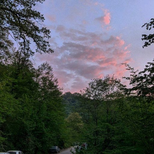 cropped-photo_2025-04-17_00-39-29.jpg